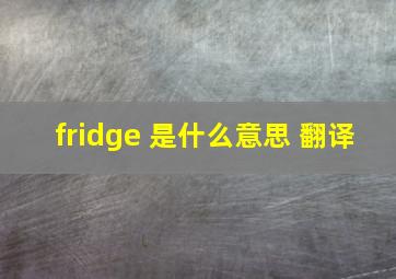 fridge 是什么意思 翻译